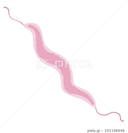 カンピロバクターのイラスト カンピロバクターのイラスト 103196646