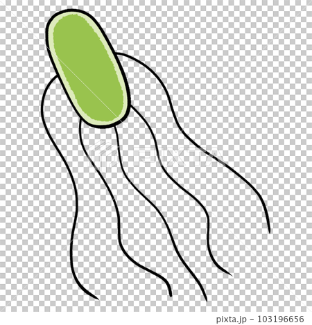 illustration of salmonella 103196656