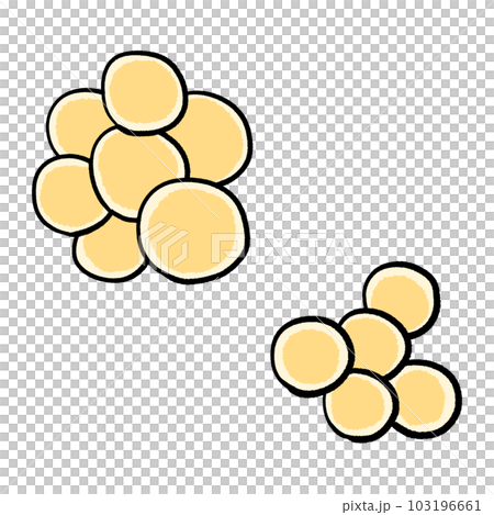 金黃色葡萄球菌的插圖 金黃色葡萄球菌的插圖 103196661