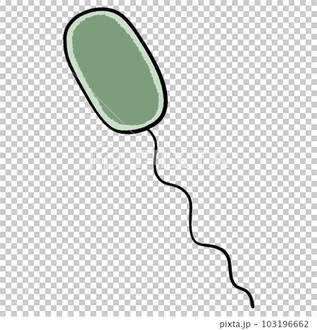 腸炎ビブリオのイラスト 腸炎ビブリオのイラスト 103196662