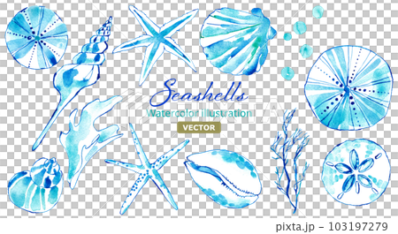 Watercolor illustration set of various seashells. image of the sea. vector. 103197279
