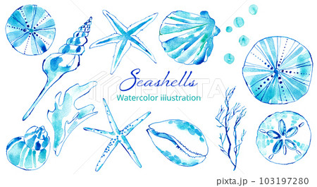 色々な貝殻の水彩イラストセット。海のイメージ。 103197280