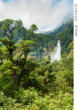 Fiordland National Park South Island New Zealand 103198179