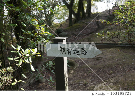観音巡路 観音巡路 103198725