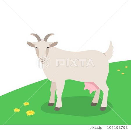 Horned female goat standing on the green grass. Domestic farm animal grazing on a spring pasture. Flat cartoon illustration. Spring meadow background 103198798