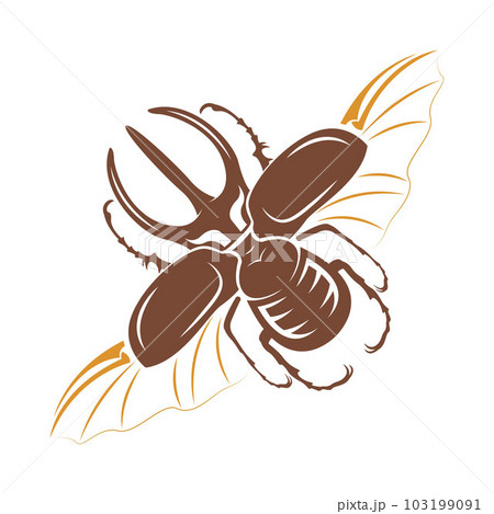Beetle logo icon design 103199091
