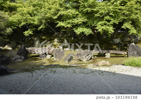 圓徳院 北庭【国指定名勝】 圓徳院 北庭【国指定名勝】 103199198