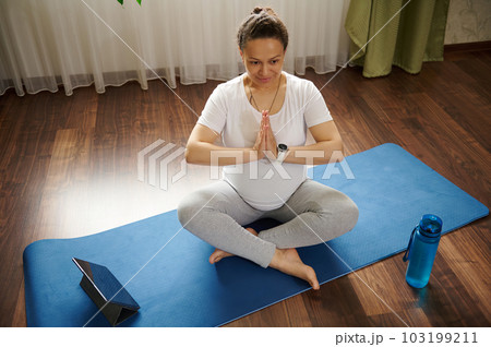 Happy smiling pregnant woman sitting on mat with online yoga class on digital tablet while training at home. Expecting future mother enjoying healthy lifestyle. Fitness during pregnancy. Overhead view 103199211