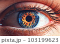 Macro Photography Colorful Human Eye 103199623