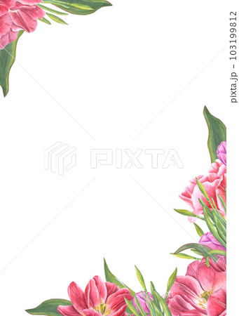 Watercolor celebration vertical frame with tulips, daffodils, leaves isolated on white background. Lovely spring illustration for greeting cards and invitations. Wedding, birthday, Valentines day 103199812