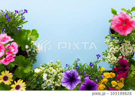 Spring decoration of a home balcony Spring decoration of a home balcony 103199828