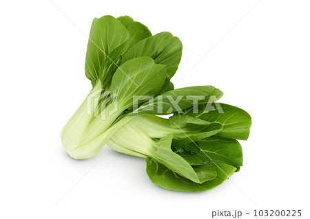 Fresh pak choi cabbage isolated on white background with full depth of field Fresh pak choi cabbage isolated on white background with full depth of field 103200225
