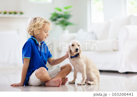 Child playing with dog. Kids play with puppy. 103200441