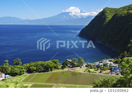 伊豆半島の景勝地煌めきの丘から見た富士山　 103200662