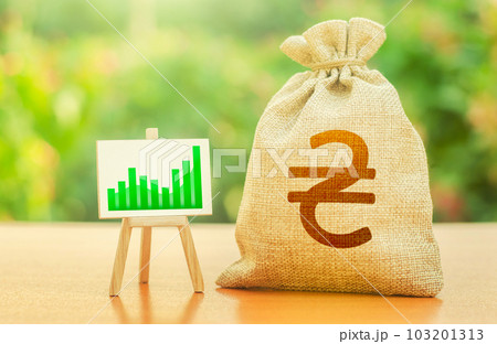 Ukrainian hryvnia money bag and growing chart easel. Investments in economy, post-war reconstruction. Rebuilding and revitalizing the economy after a period of conflict, growth and prosperity Ukrainian hryvnia money bag and growing chart easel. Investments in economy, post-war reconstruction. Rebuilding and revitalizing the economy after a period of conflict, growth and prosperity 103201313