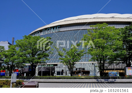 東京ドーム 東京ドーム 103201561