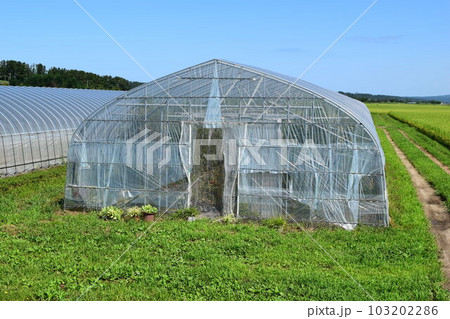 農業用ビニールハウス 103202286