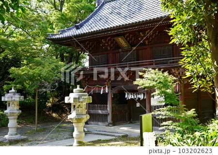 真間山弘法寺　仁王門　千葉県市川市真間 103202623