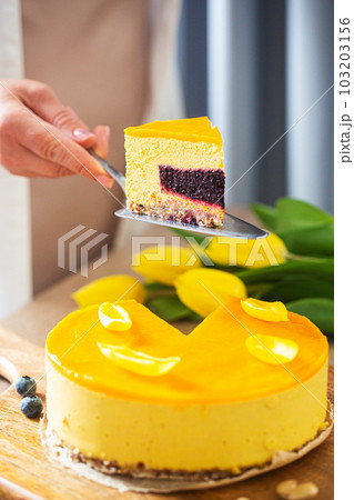 Woman holds no baked raw cake made with dates, cashews and mango 103203156