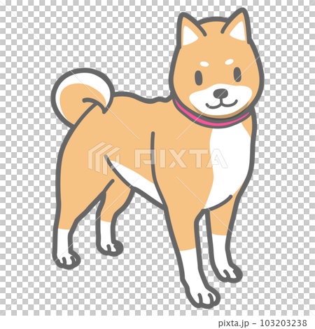 Vector illustration of Shiba Inu - Stock Illustration [103203238