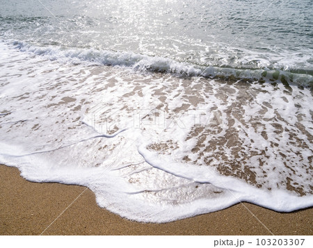 日光を反射して煌めく波打ち際。 103203307