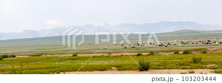 Flock of sheep and goats grazing in the steppes of Mongolia 103203444