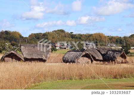 弥生のムラ安国寺集落遺跡公園 弥生のムラ安国寺集落遺跡公園 103203687