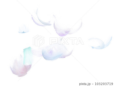 Many Pastel Feather fly fall in Air over white background isolated. Puffy Fluffy soft feathers as purity smooth like dream floating dove in sky. Angle flying from heaven, photo motion Many Pastel Feather fly fall in Air over white background isolated. Puffy Fluffy soft feathers as purity smooth like dream floating dove in sky. Angle flying from heaven, photo motion 103203719