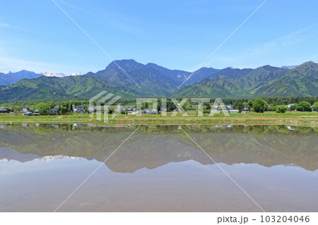 安曇野の5月　田園と北アルプス 103204046