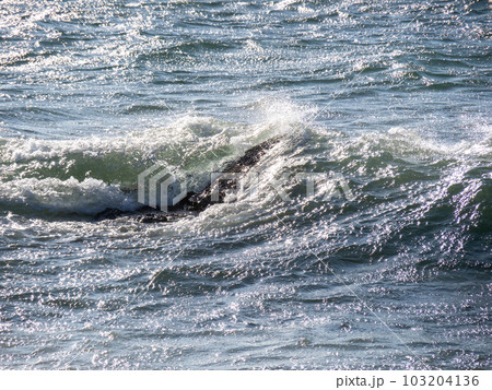 強風の海の白波と波しぶき。 強風の海の白波と波しぶき。 103204136