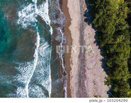 Caribbean sea on the one side, village Tortuguero inside the jungle in the middle, and huge river on the otjer side. Amazing place full of wildlife in Costa Rica Caribbean sea on the one side, village Tortuguero inside the jungle in the middle, and huge river on the otjer side. Amazing place full of wildlife in Costa Rica 103204290