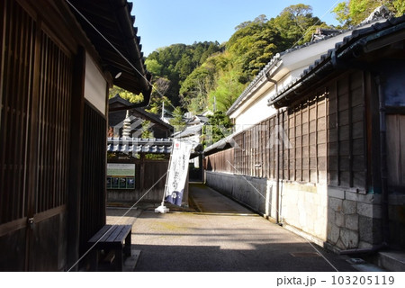 南越前町　河野北前船主通りの北前船主の館・右近家前と新緑 103205119