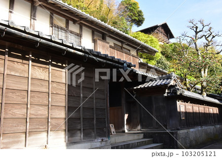 南越前町　河野北前船主通りの北前船主の館・右近家前と西洋館と新緑 103205121