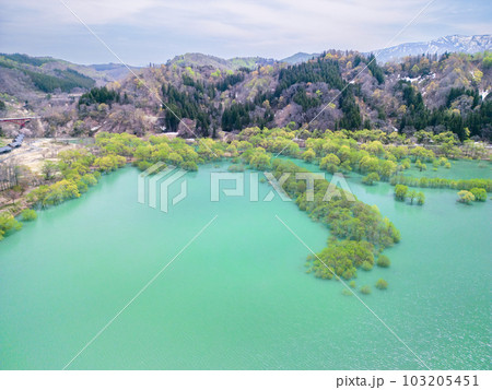「山形県」ドローンで白川湖の水没林を空撮 103205451