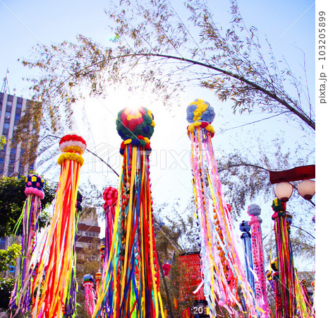 サンパウロの七夕祭り　ブラジル 103205899