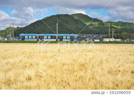 麦秋のLRV 103206050