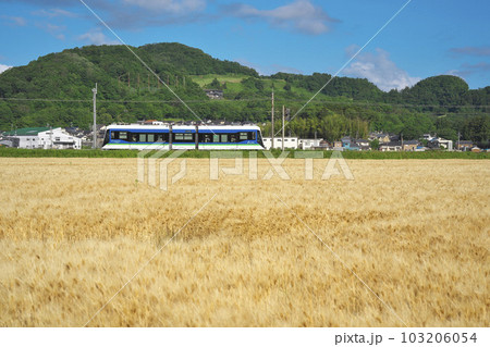 麦秋のLRV 麦秋のLRV 103206054