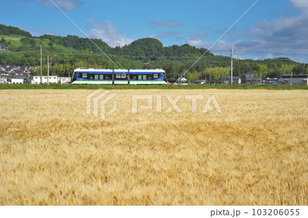 麦秋のLRV 103206055