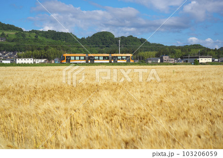 麦秋のLRV 麦秋のLRV 103206059