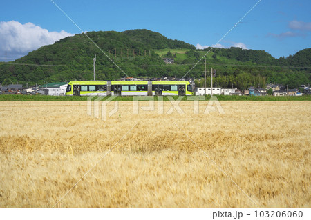 麦秋のLRV 103206060