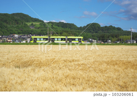 麦秋のLRV 103206061