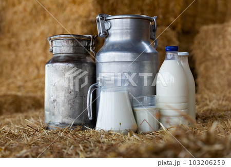 Fresh natural milk in decanter and cans on farm hayloft 103206259