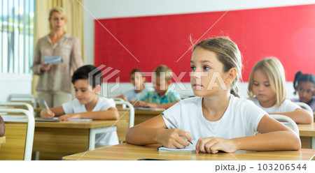 School girl working at lesson in classroom 103206544
