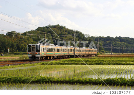 田園地帯をゆく信越本線211系(高崎⇔横川) 田園地帯をゆく信越本線211系(高崎⇔横川) 103207577