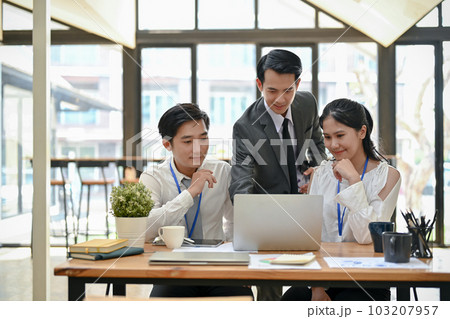 A group of Asian businesspeople are brainstorming and planning an investment project A group of Asian businesspeople are brainstorming and planning an investment project 103207957