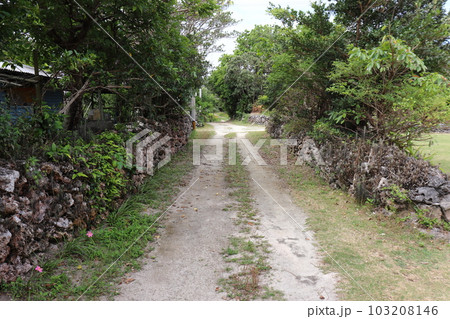 パナリ島（新城島）の路地 103208146