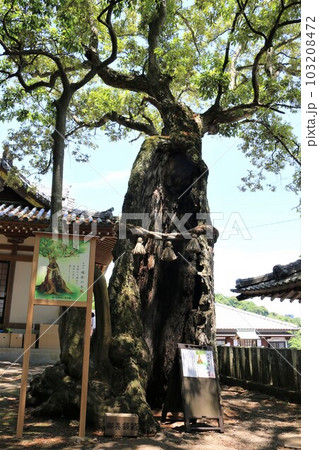 八幡竈門神社・別府市 103208472