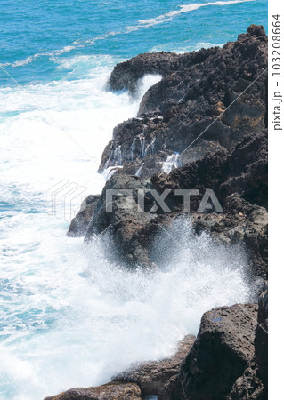 青い海白い波伊豆半島下田綺麗な海岸風景 103208664
