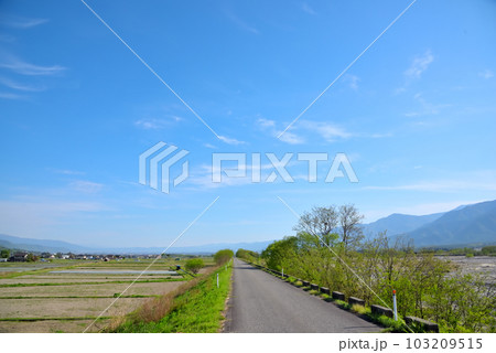 《長野県》春の北安曇郡池田町　高瀬川堤防道路 103209515
