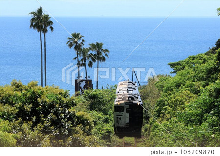 【JR九州】鹿児島湾とキハ140形+キハ47形「指宿のたまて箱」(指宿枕崎線:瀬々串〜平川) 【JR九州】鹿児島湾とキハ140形+キハ47形「指宿のたまて箱」(指宿枕崎線:瀬々串〜平川) 103209870